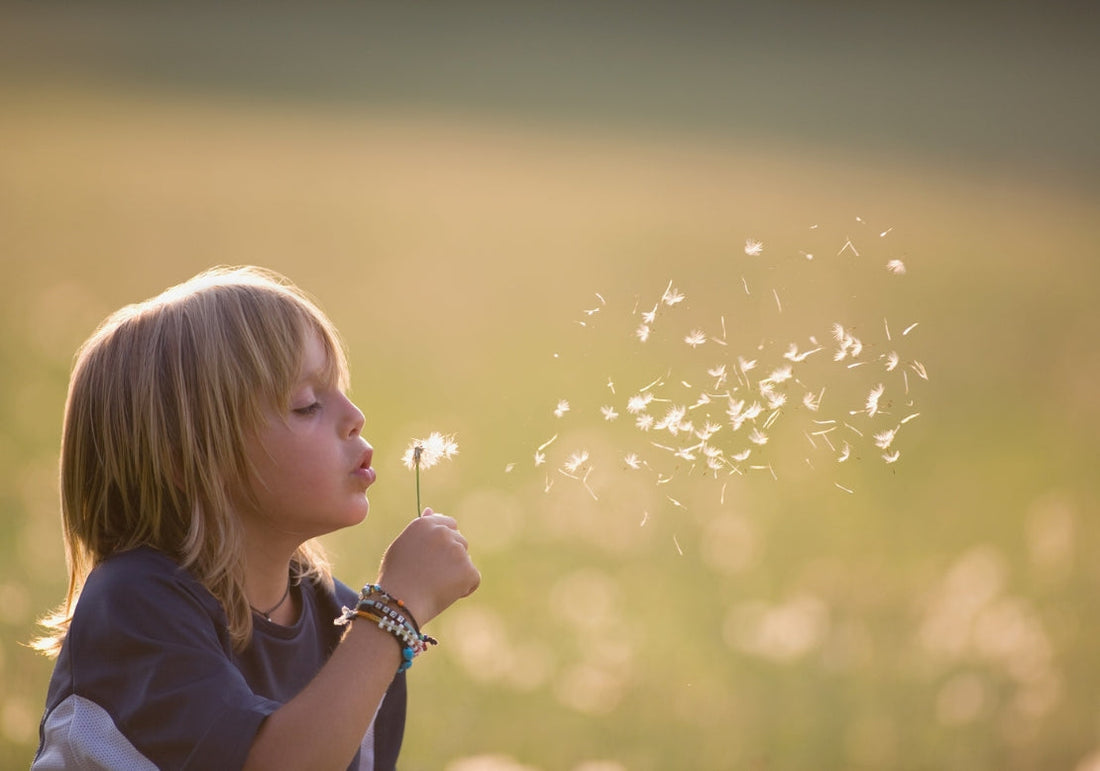 école-dehors - pédagogie-en-nature - apprentissage-en-plein-air - bien-être-enfant-école - inclusion-scolaire - végétalisation-cours-école - éducation-développement-durable - lien-enfant-nature
