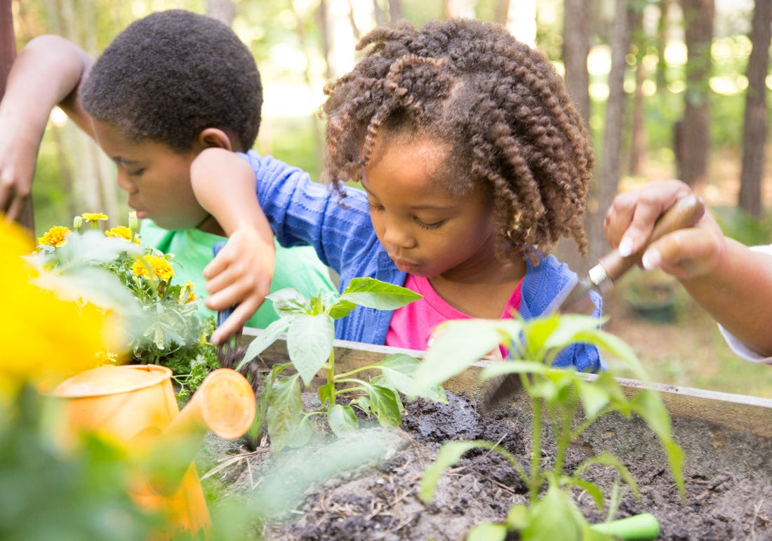 🌳 Chasse au trésor dans le jardin - dès 4 ans