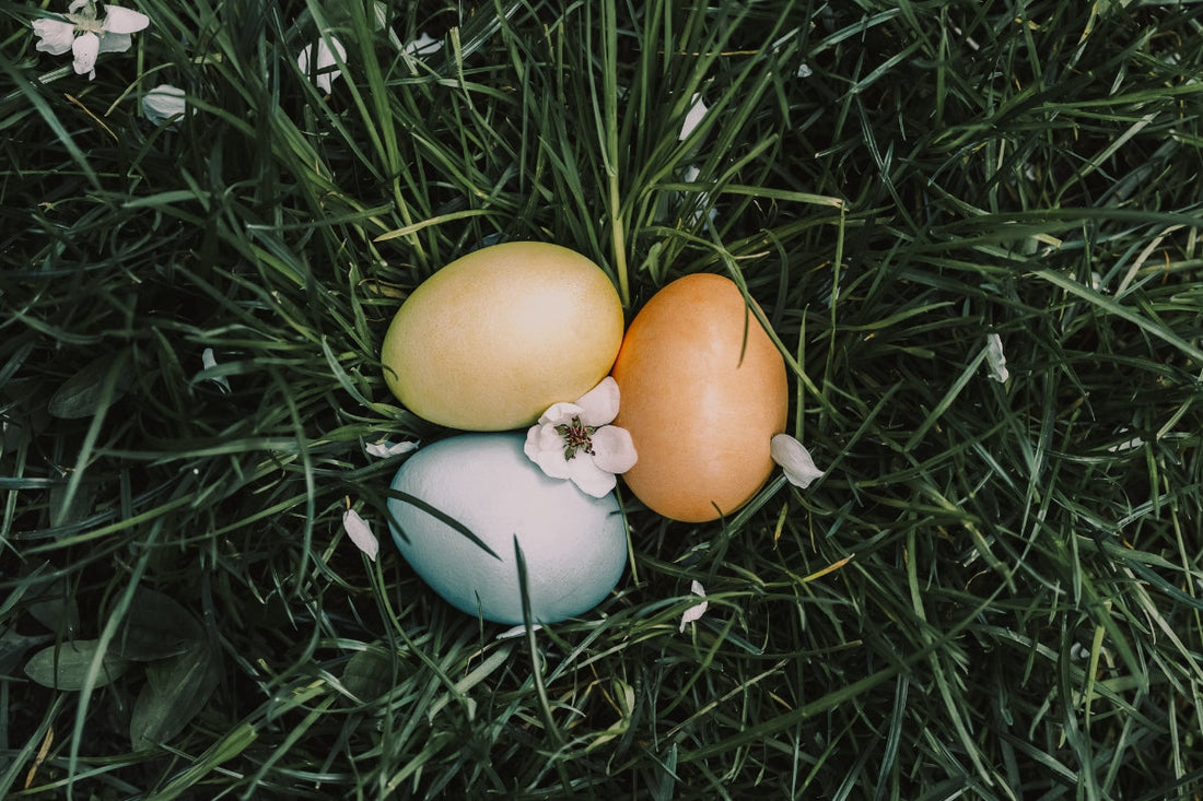 Organiser une chasse au trésor à pâques sans oeufs au chocolat