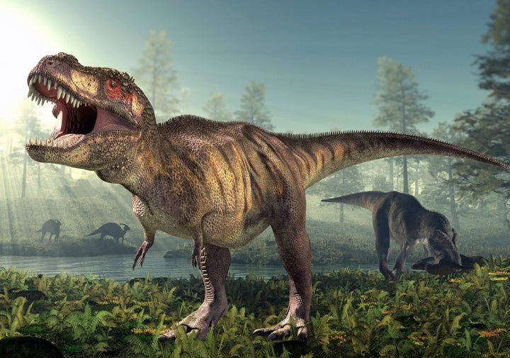 Les tyrannosaures pouvaient-ils se mettre à quatre pattes pour donner un coup de tête ?