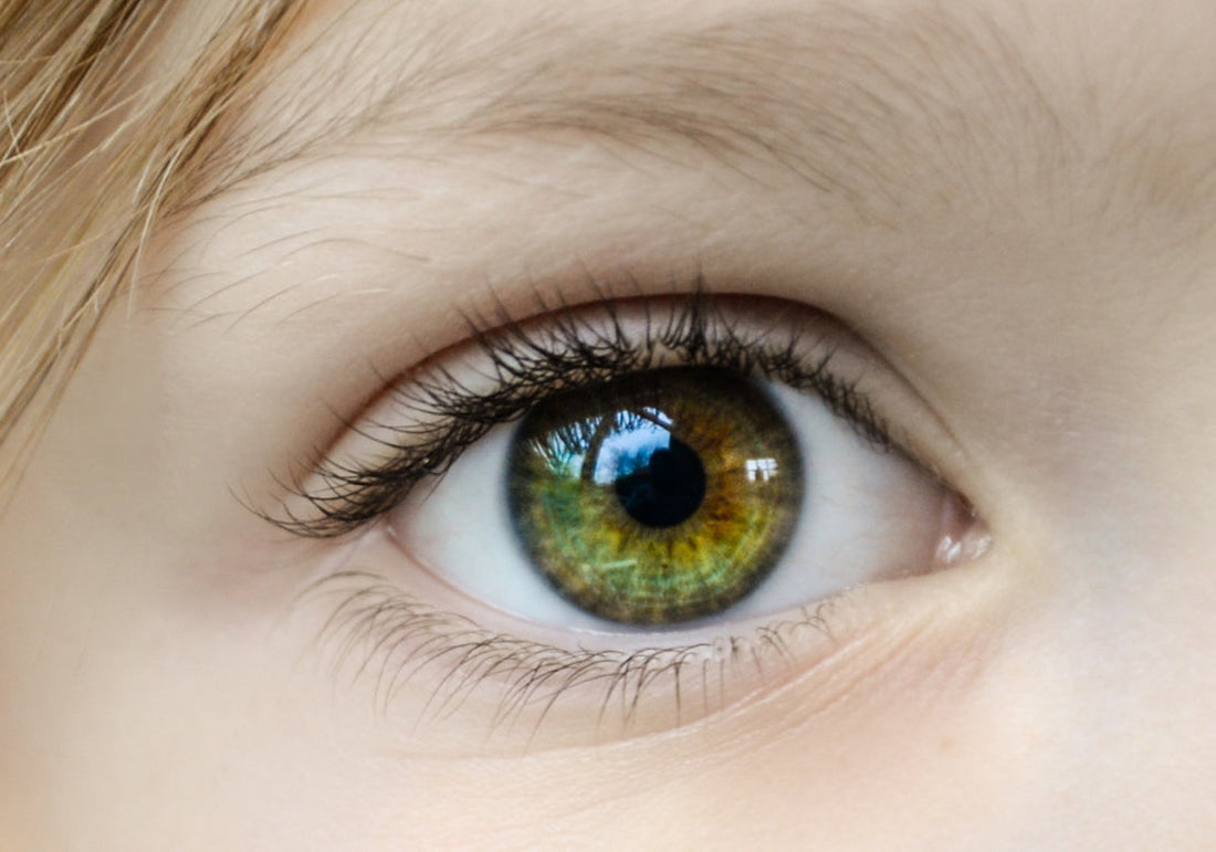 yeux verts d'une petite fille