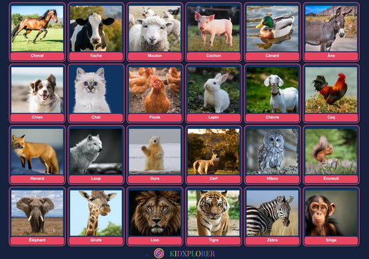 Qui est-ce Animaux gratuit (dès 4 ans)